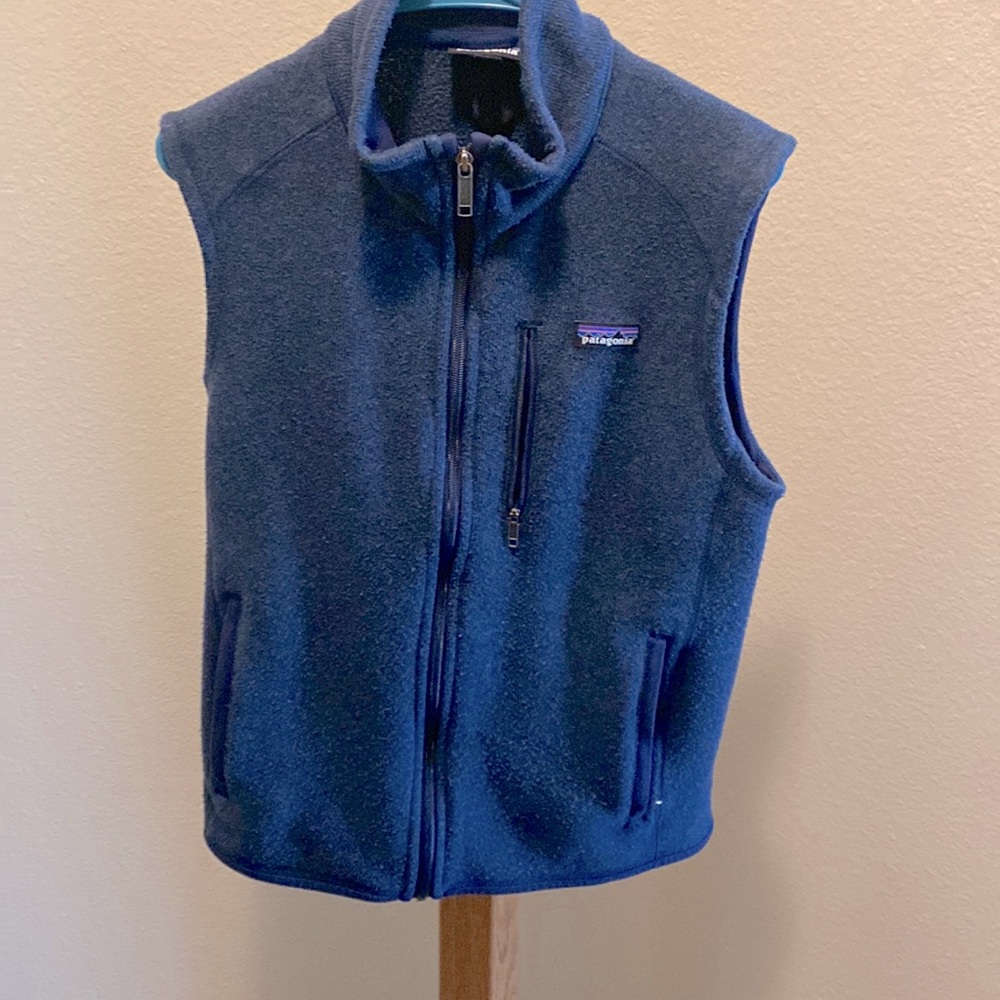 Men’s Patagonia vest